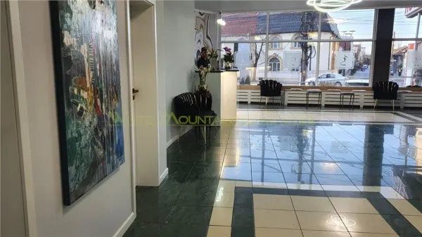 Hotel/Pensiune Timișoara - poza 3