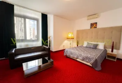 Hotel/Pensiune Timișoara - poza 8