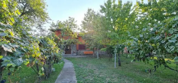 Casă 6 camere Blejoi - poza 9