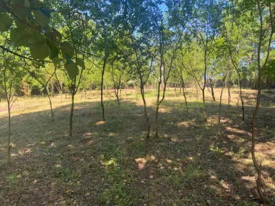 Teren 2600 mp de vanzare, Campina, jud Prahova - foto 14