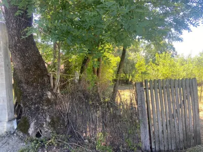 Teren 2600 mp de vanzare, Campina, jud Prahova - foto 6