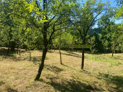 Teren 2600 mp de vanzare, Campina, jud Prahova - foto 8