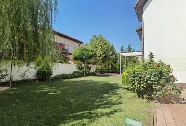 Casă 6 camere Voluntari - poza 2