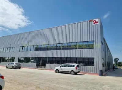 Spatiu depozitare productie, inchiriere lunga durata, Buftea - foto 2