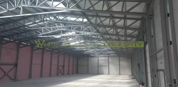 Spațiu industrial Buftea - poza 8