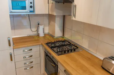 Apartament 2 camere, inchiriere lunga durata, Herastrau - foto 19