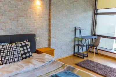 Apartament 2 camere, inchiriere lunga durata, Herastrau - foto 9