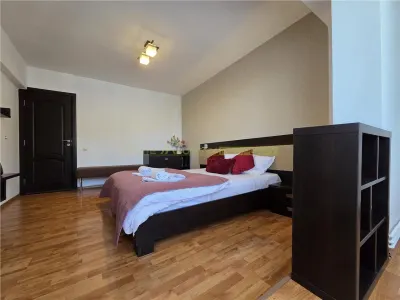 Apartament spatios cu 2 camere Parcul Trandafirilor Racadau - foto 22