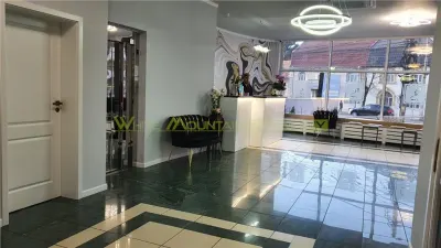 Hotel/Pensiune Timișoara - poza 2