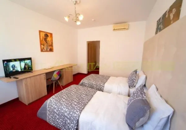 Hotel/Pensiune Timișoara - poza 12