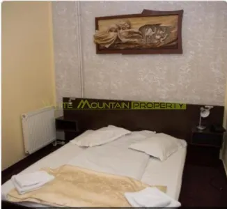 Hotel/Pensiune Timișoara - poza 6