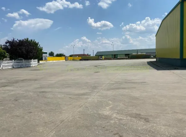 Spațiu industrial Pecica - poza 5