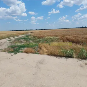 Teren 88000 mp de vanzare, Glina - foto 6