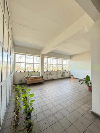 Spațiu industrial Vaslui - poza 25