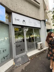 Ion Mihalache, spatiu comercial 240 mp - foto 4