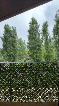 Apartament 3 camere Buftea - poza 6