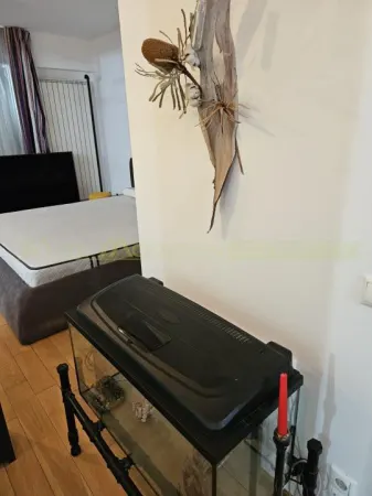 Apartament 3 camere București - poza 2