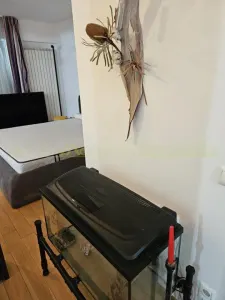 Apartament 3 camere București - poza 2