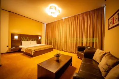 Timisoara, OPORTUNITATE INVESTITIE, hotel, clinica sau azil, 41 camere - foto 8