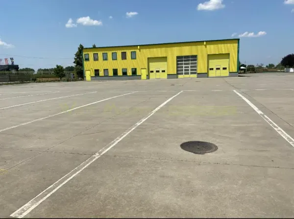 Spațiu industrial Pecica - poza 1