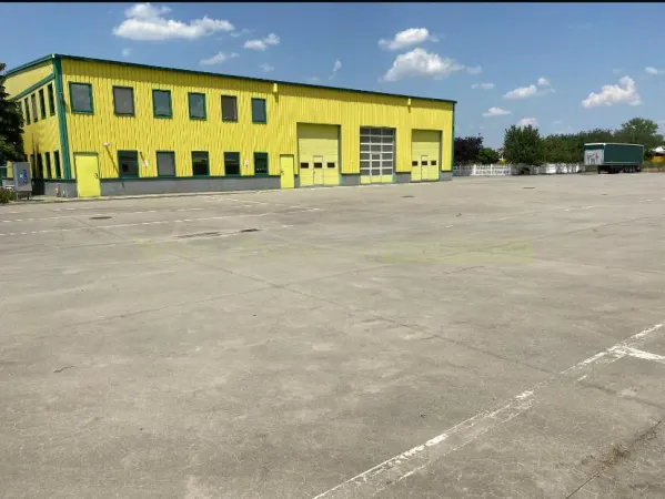 Spațiu industrial Pecica - poza 2