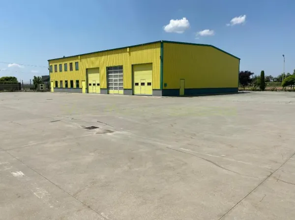 Spațiu industrial Pecica - poza 7