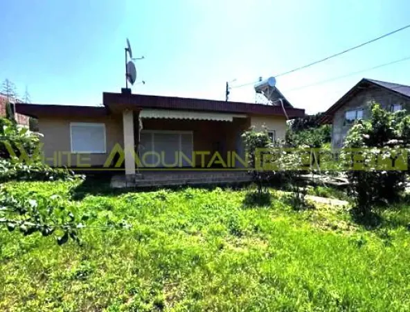 Casă 3 camere Snagov - poza 4
