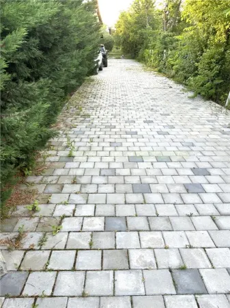 Casă 4 camere Snagov - poza 14