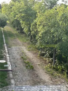 Snagov, casa 4 camere - foto 16