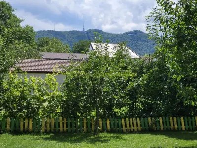 Apartament central cu acces la gradina si 2 locuri parcare - foto 1