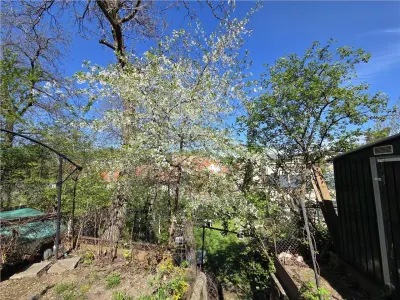 Apartament deosebit cu 3 camere str. Castelului - foto 4
