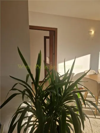 Apartament 3 camere Cluj-Napoca - poza 11