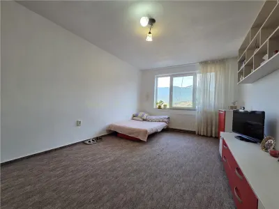 Garsoniera cu priveliste in zona linistita ultracentrala - foto 4