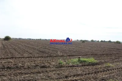 Teren de vanzare Balotesti,Stradal -Residentiale sau Comercial-cu toate utilitatile la strada - foto 5