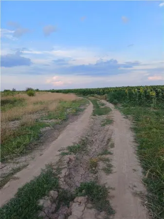 Teren Balotești - poza 3