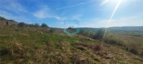 Teren Florești - poza 4