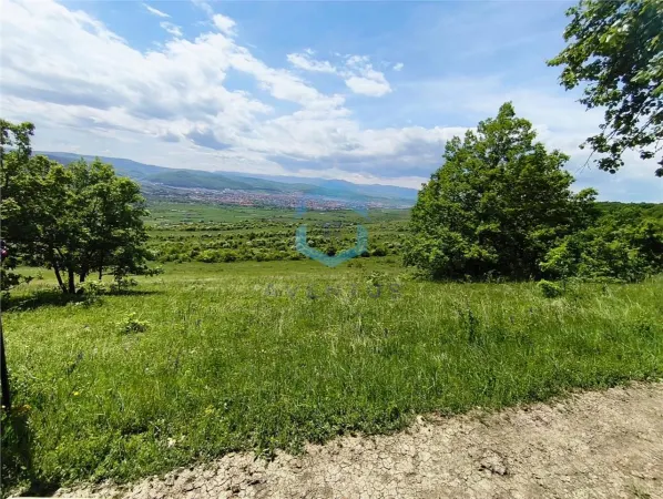 Teren Florești - poza 14