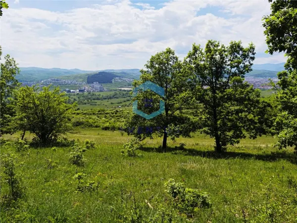 Teren Florești - poza 16