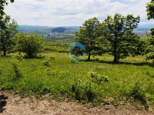 Teren Florești - poza 19