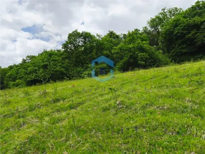 Teren vanzare Centura Donath Nord, 2900 mp - foto 5
