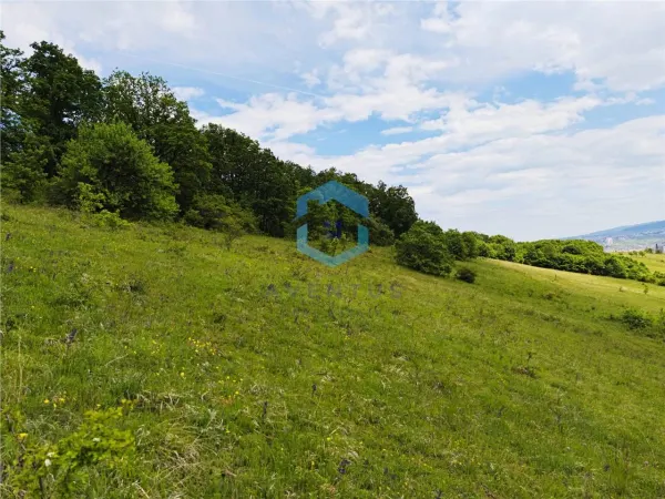 Teren Florești - poza 9