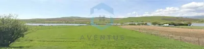 Teren de vanzare - Ciurila Lacuri - foto 2