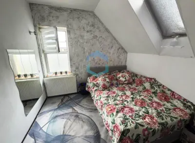 Casa individuala de vanzare cartier Europa-Zorilor, teren generos - foto 4