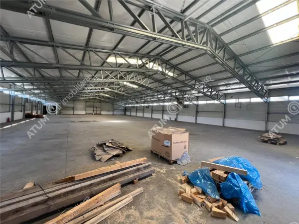 Spațiu industrial Tălmaciu - poza 6