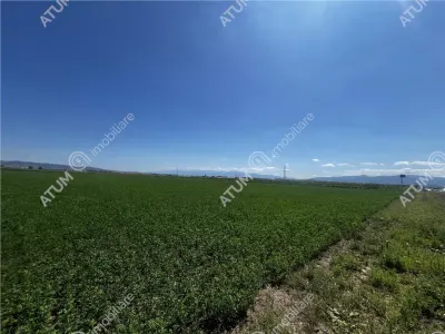 De vanzare teren intravilan de 19264 mp situat in zona Industriala Vest din Sibiu - foto 5