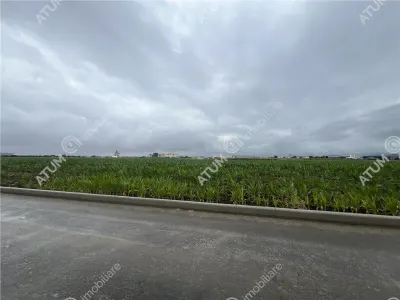 De vanzare teren industrial de 9000 mp cu PUZ situat in zona industriala Vest din Sibiu - foto 5