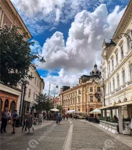 De inchiriat spatiu comercial cu destinatie de alimentatie public in zona Balcescu din Sibiu - Sibiu