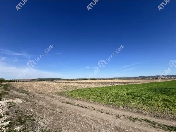 Teren Sibiu - poza 5