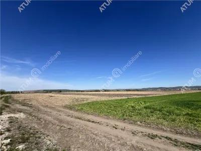 De vanzare in Sibiu teren intravilan cu suprafata de 3300 mp amplasat in zona Calea Surii Mici - foto 5