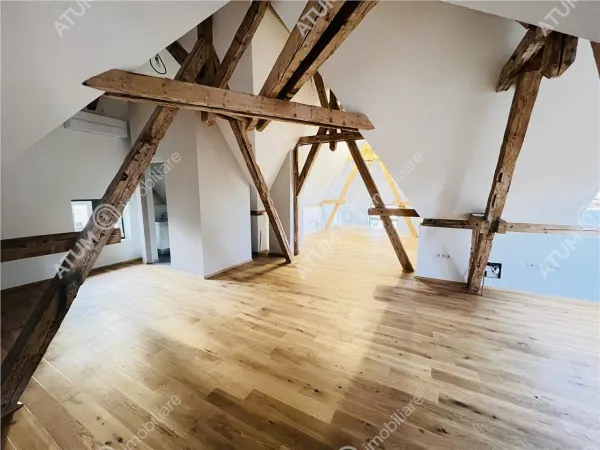 Casă 11 camere Sibiu - poza 61